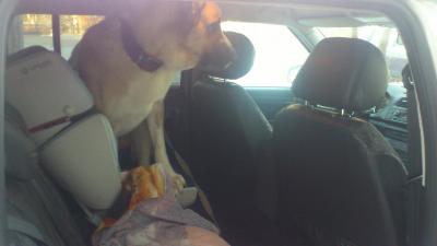 post-1419-0-28181600-1327920325_thumb.jp