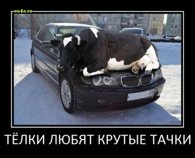 post-1545-0-18624000-1359628686_thumb.jp