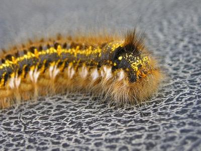 post-610-027030400 1298659789_thumb.jpg