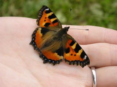 post-610-064359600 1298659806_thumb.jpg