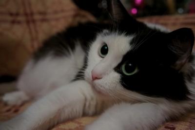 post-610-068024200 1298658948_thumb.jpg