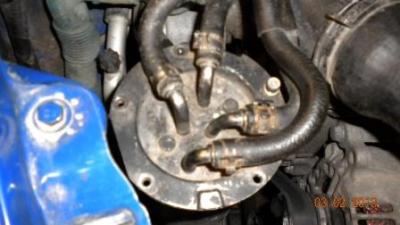 post-1385-0-25422600-1359914881_thumb.jp