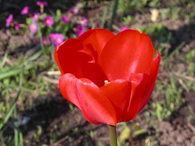 post-427-006760200 1300052796_thumb.jpg