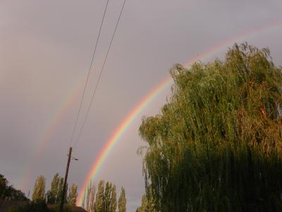 post-427-030181700 1300052517_thumb.jpg