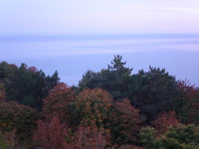 post-427-036468400 1300052533_thumb.jpg