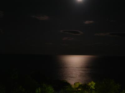 post-427-079611800 1300053100_thumb.jpg