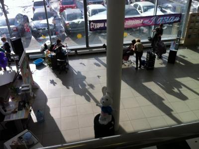 post-1985-0-46010300-1363075482_thumb.jp