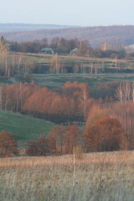 post-395-039322700 1303760555_thumb.jpg