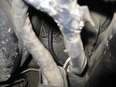 post-1669-0-70431500-1396336083_thumb.jp