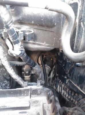 post-1669-0-44330900-1429951660_thumb.jp