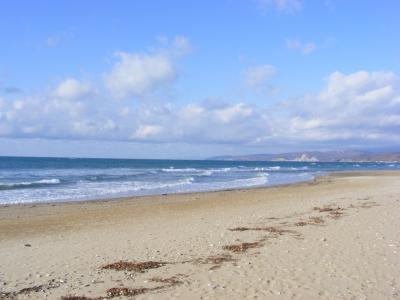 post-58-008664000 1305539309_thumb.jpg