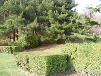 post-58-034780400 1305539499_thumb.jpg