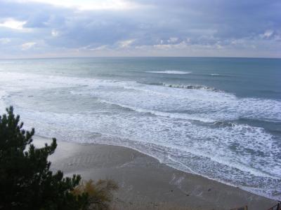 post-58-054034600 1305539303_thumb.jpg