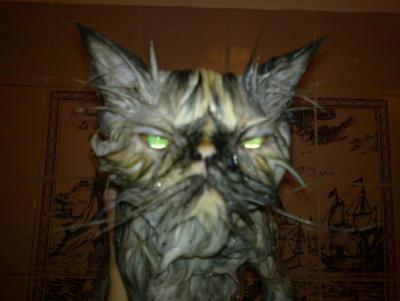 post-945-014765700 1306835098_thumb.jpg