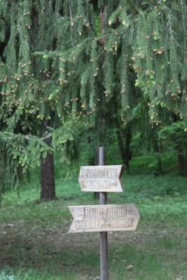 post-1326-0-17171100-1336976810_thumb.jp