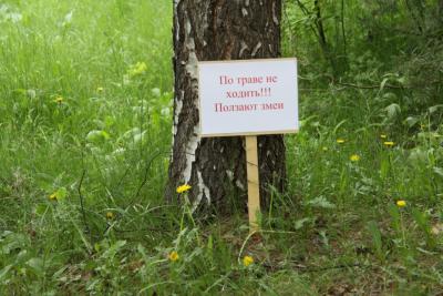 post-1326-0-20039500-1336976802_thumb.jp