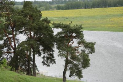 post-1326-0-48757400-1336976760_thumb.jp