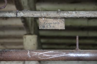 post-1326-0-63364600-1336976756_thumb.jp