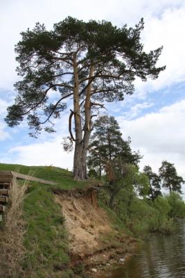 post-1326-0-79399000-1336976762_thumb.jp