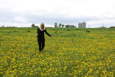 post-1326-0-85928300-1336976758_thumb.jp