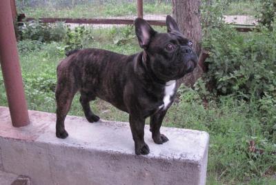 post-1545-0-26772100-1337014654_thumb.jp