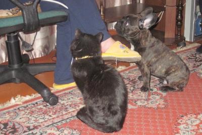 post-1545-0-76941400-1337014971_thumb.jp