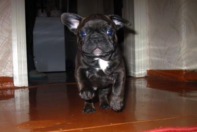 post-1545-0-90054300-1337014635_thumb.jp