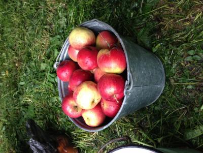 post-2122-0-47560700-1369686955_thumb.jp