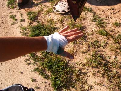 post-58-097903400 1307257839_thumb.jpg