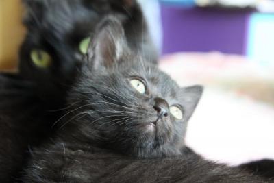 post-1326-0-29784000-1340303758_thumb.jp