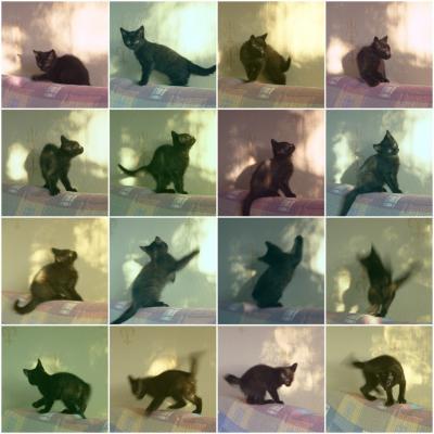 post-1326-0-31465000-1340303760_thumb.jp