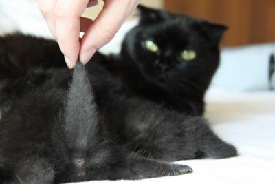 post-1326-0-36693500-1340303763_thumb.jp