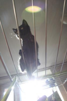 post-1326-0-47344300-1340303751_thumb.jp