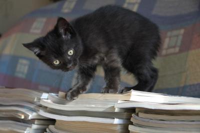 post-1326-0-49957500-1340303754_thumb.jp