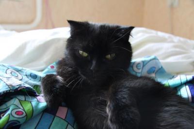 post-1326-0-60422500-1340303749_thumb.jp