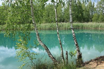 post-1326-0-61044000-1338800913_thumb.jp