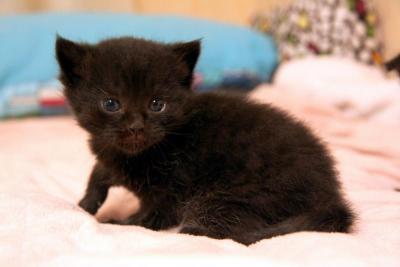 post-1326-0-67760500-1340303752_thumb.jp