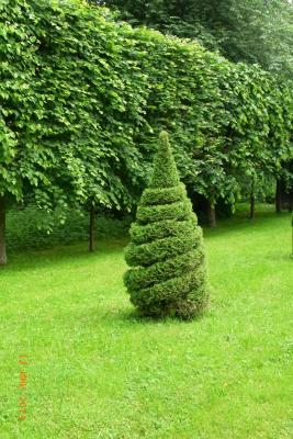 post-1904-0-08673300-1403034599_thumb.jp