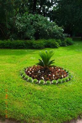 post-1904-0-11082700-1403034419_thumb.jp