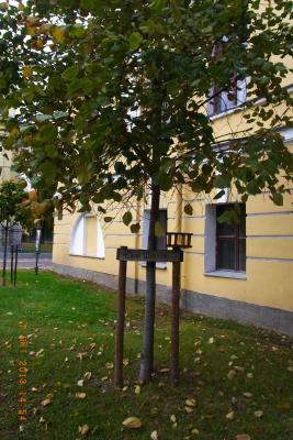 post-1904-0-19761600-1403032963_thumb.jp