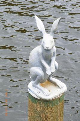 post-1904-0-38154200-1403032632_thumb.jp