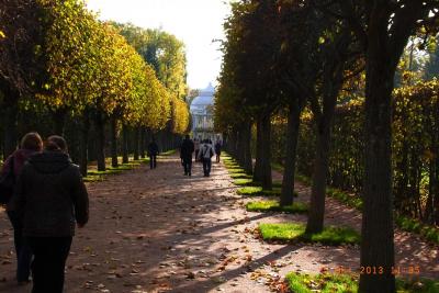 post-1904-0-38556300-1403034276_thumb.jp