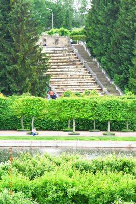 post-1904-0-76554700-1403034522_thumb.jp