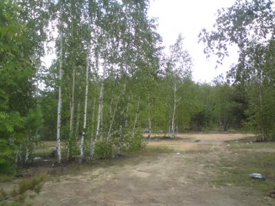 post-318-007562700 1310292565_thumb.jpg