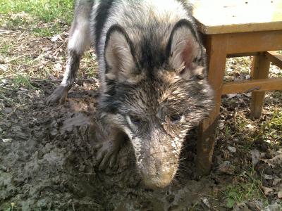 post-324-080675200 1311155624_thumb.jpg