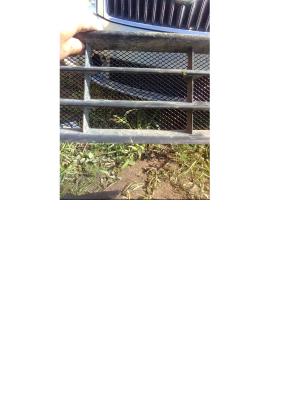 post-586-004354600 1309634868_thumb.jpg