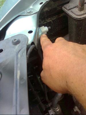 post-586-072023200 1309717529_thumb.jpg