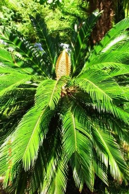 post-1904-0-00262400-1406037787_thumb.jp