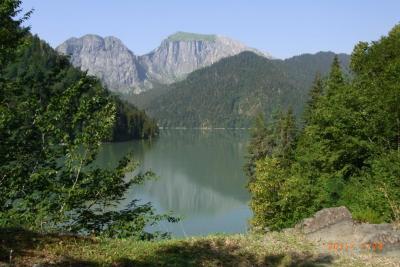 post-1904-0-01011600-1406031932_thumb.jp