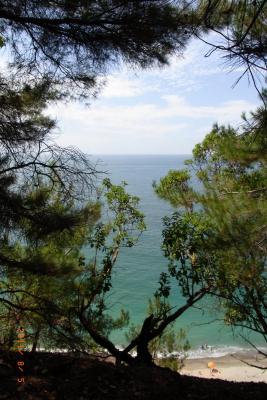 post-1904-0-03596700-1406032057_thumb.jp